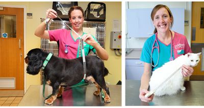 PDSA partners with Royal Canin to tackle pet obesity